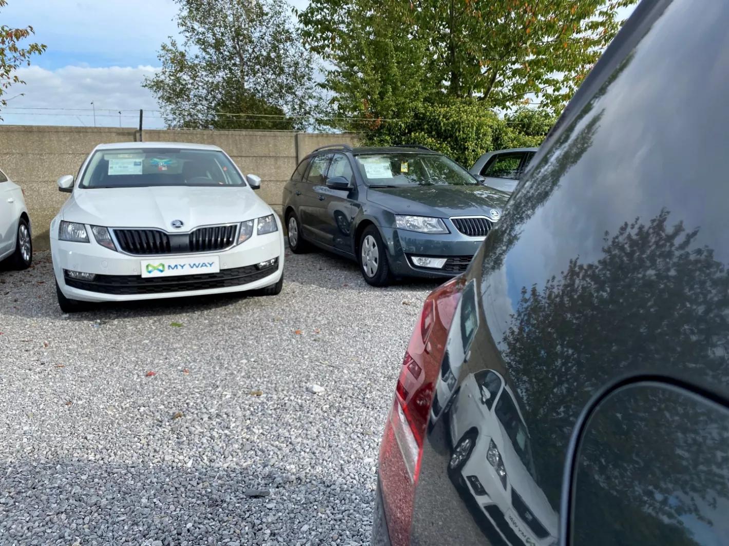 Skoda_Occasions