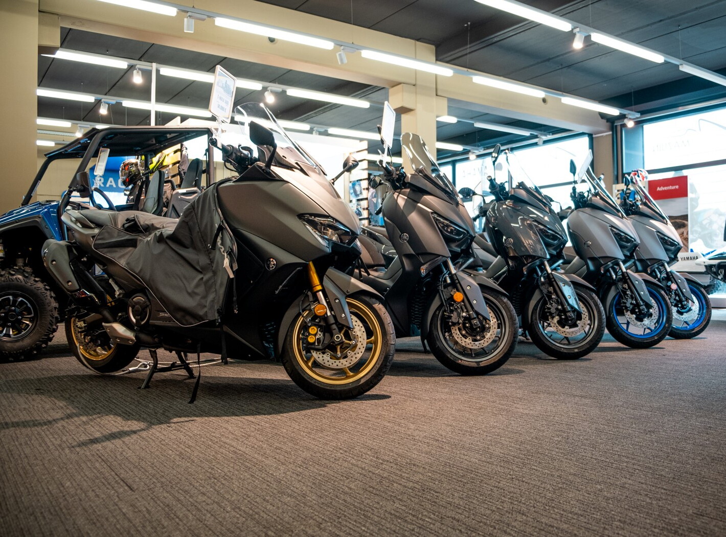 Showroom Zone Rouge Fosses