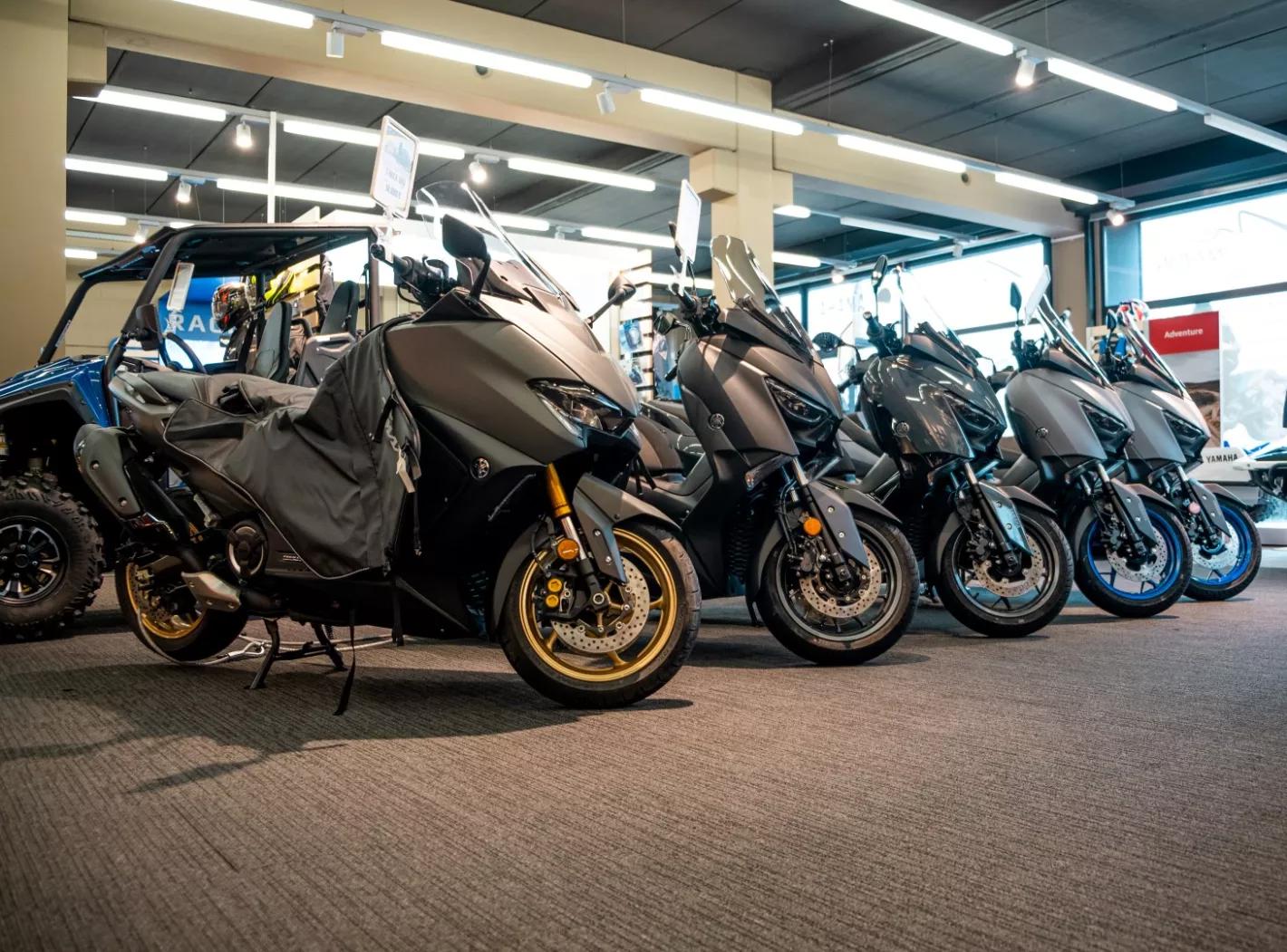 Showroom Zone Rouge Fosses